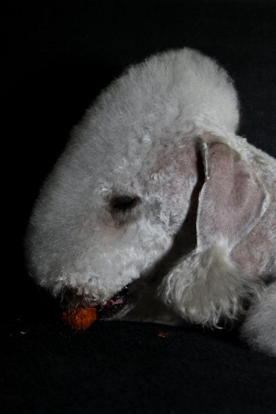 2010-11-14 Svet (16).jpg